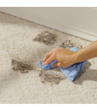 Rejuvenate Carpet & Upholstery Pet Stain Remover - 947mL