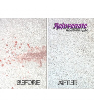 Rejuvenate Carpet & Upholstery Pet Stain Remover - 947mL