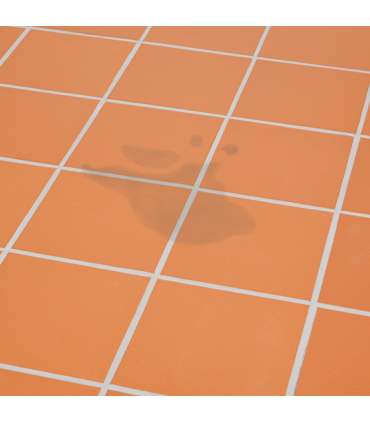 HG Tiles Spot Stain Remover - 500mL