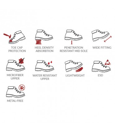AcesafeT Spear Low Cut Economical Safety Shoe