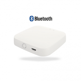 Loop Wireless Bluetooth Gateway
