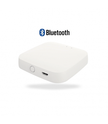 Loop Wireless Bluetooth Gateway