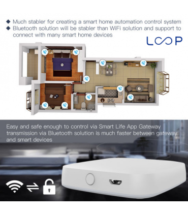 Loop Tuya Wireless Bluetooth Smart Gateway Works with Alexa/Google
