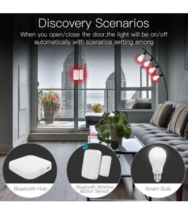 Loop Tuya Wireless Bluetooth Smart Gateway Works with Alexa/Google