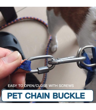 Stainless Steel 304 Screw Lock Carabiner