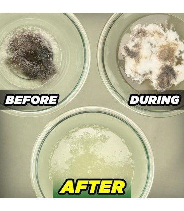 Green Gobbler Drain and Toilet Clog Dissolver - 916mL