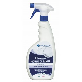 Mould Cleaner - 750mL