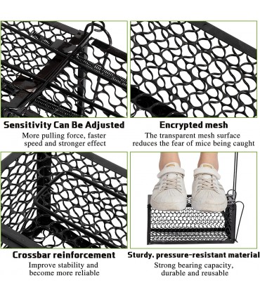 Reusable Catch And Release Mouse Trap