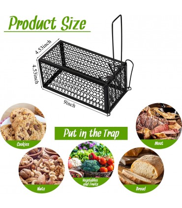Reusable Catch And Release Mouse Trap