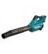 Cordless Blower Kit