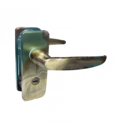 Entrance Door Handle