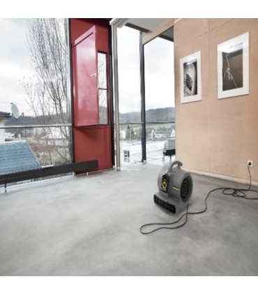 Karcher AB 30 Classic 1400 rpm Carpet Dryer Floor Air Blower