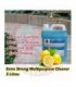 Hardware Specialist Extra Strong Multipurpose Cleaner 5L