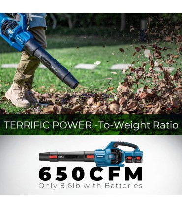 Dong Cheng DCLB40171 40V Lithium-Ion Cordless Brushless Leaf Blower
