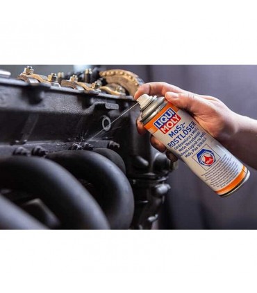 Liqui Moly MoS2 Water Resistance Rust Remover - 300mL