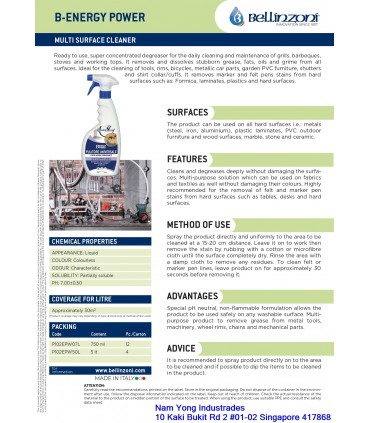 Bellinzoni B Energy Power Overall Cleaner - 750mL