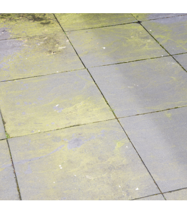 HG Algae and Mould Remover - 1 Litre