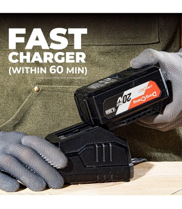 Dong Cheng FFBL2040 20V Lithum-ion 4.0Ah Battery Pack