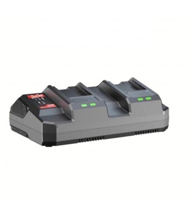 Dong Cheng FFCL20-03 20V Dual Port Fast Charger