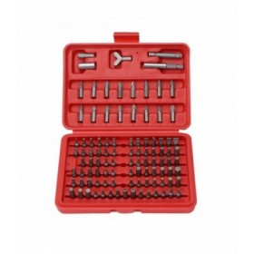 100 Pieces Chrome Vanadium Screwdriver Torq Hex Bit Set (Screw Bit)