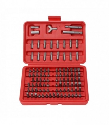 100 Pieces Chrome Vanadium Screwdriver Torq Hex Bit Set (Screw Bit)