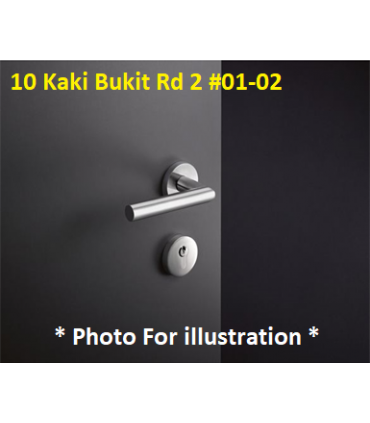 Stainless Steel L Type Lever Handle 311