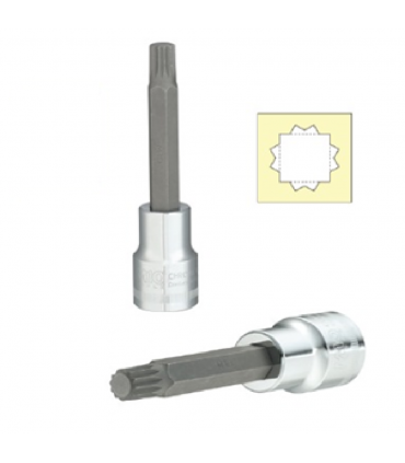 M10 1/2 inch Drive Triple Square XZN Long Socket