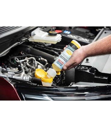 Liqui Moly 1519 Wind­shield Super Concen­trated Window Cleaner Citrus - 250mL