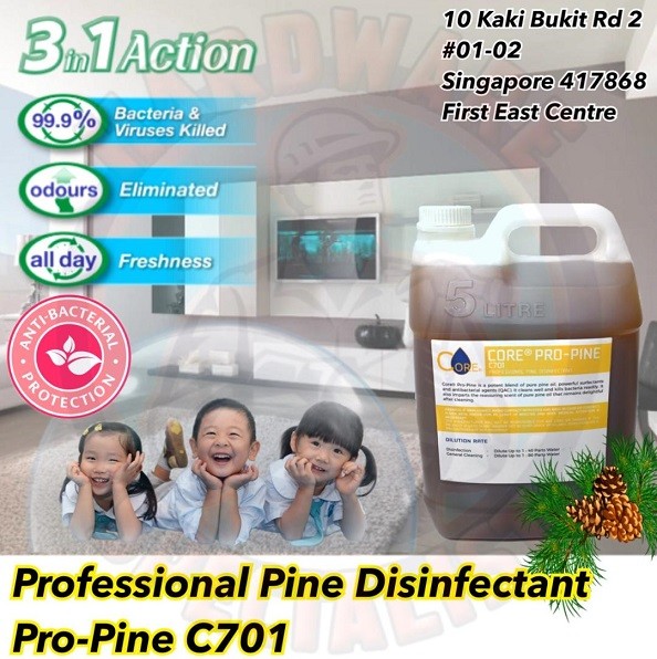 Hardware Specialist Professional Pine Disinfectant - 5 Litre_1806