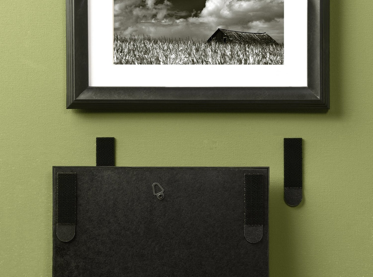 3M Command Medium Picture Hanging Strips - Black/White