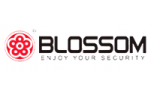 Blossom